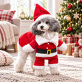 Santa Standing Pet Costume, Red (L) – in use