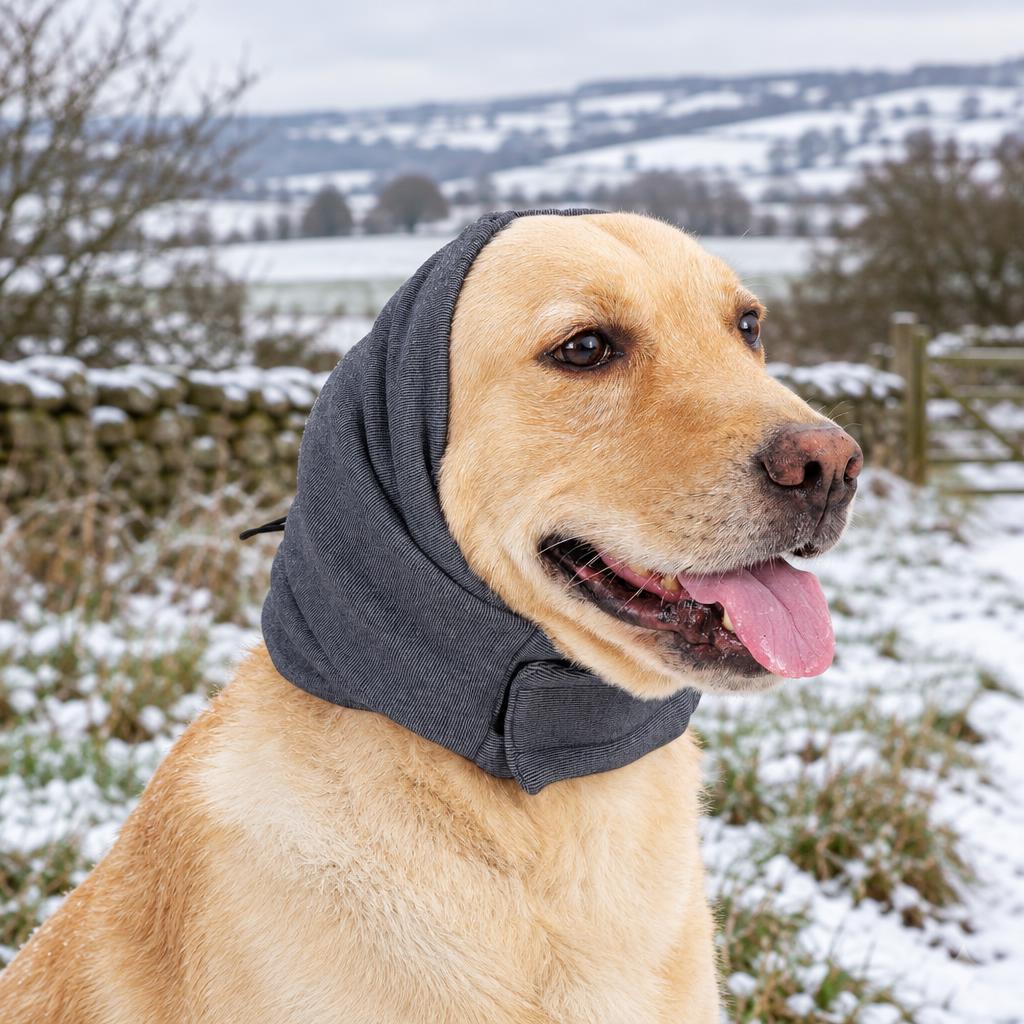 A yellow Labrador wearing the grey fleece dog ear snood on a snowy walk