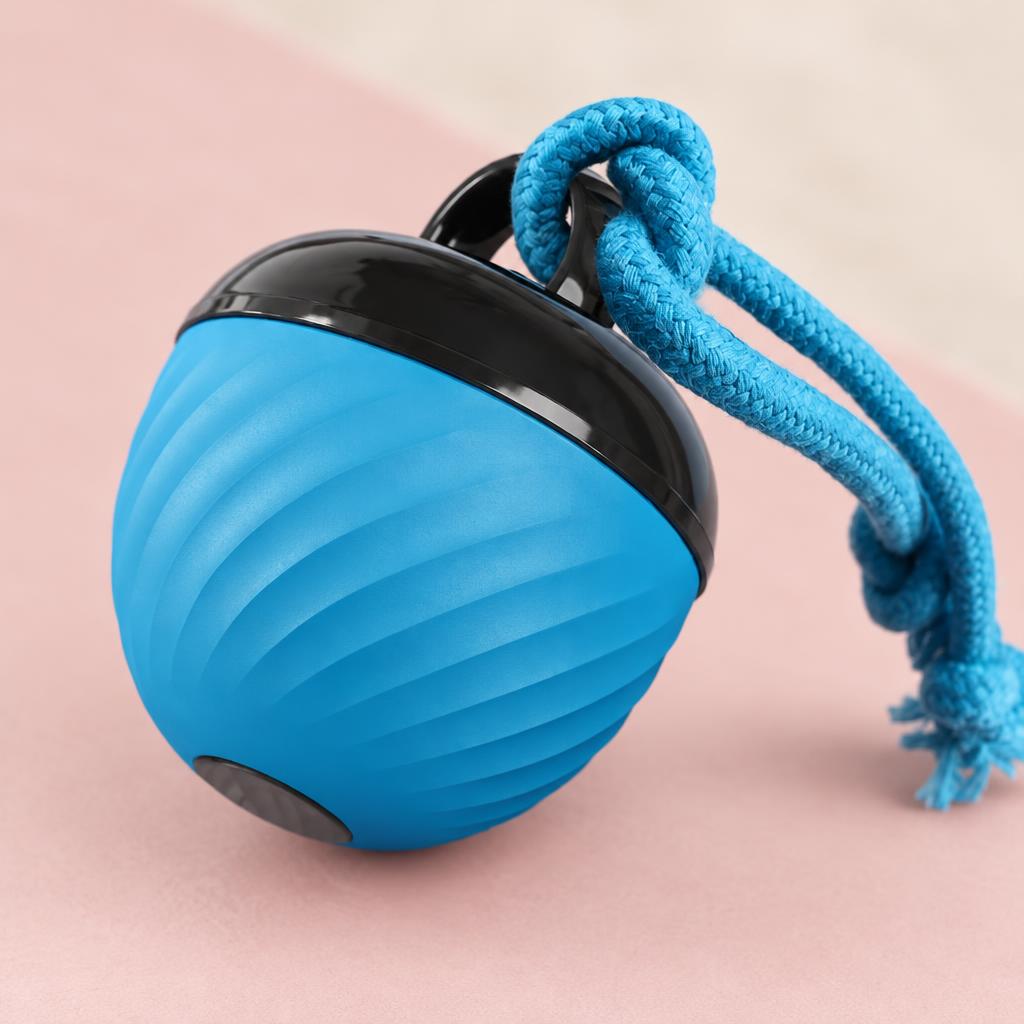 Close-up of the blue rolling ball dog toy with a rope loop on a soft pink background