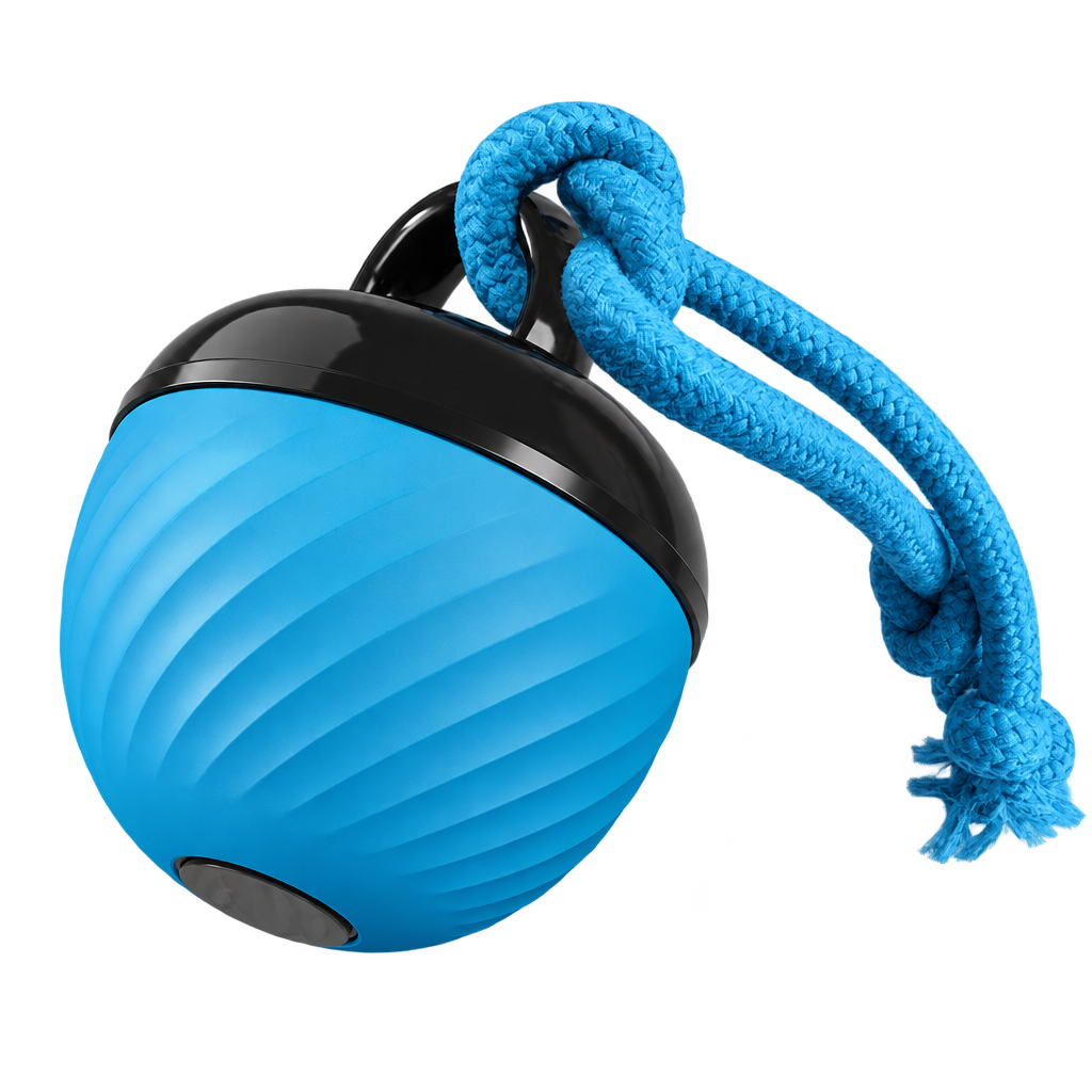 [packshot] Blue rolling ball dog toy with a rope loop on a transparent background, three-quarter view