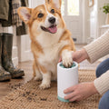 A corgi having a paw cleaned in the green and white silicone paw cleaner cup in a hallway