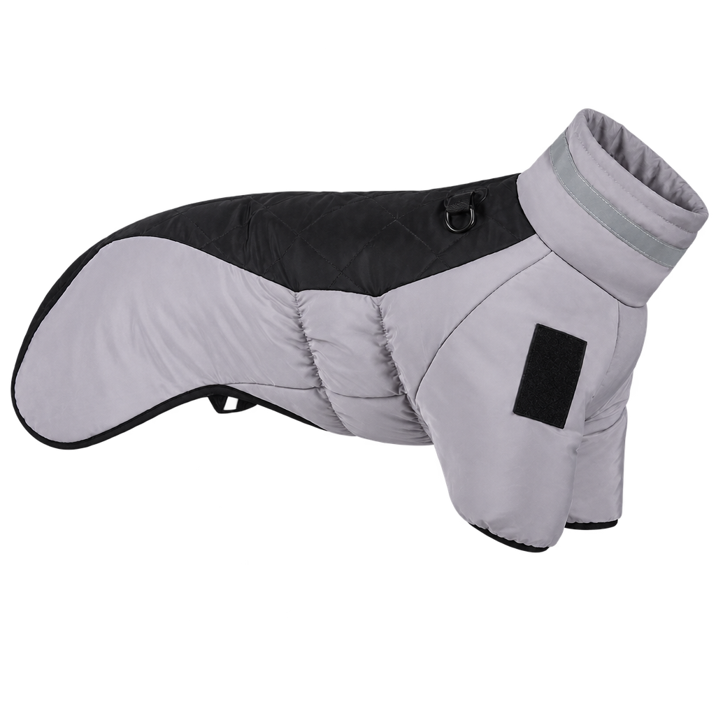 [packshot] Grey and black padded winter dog coat with a high collar on a transparent background, three-quarter view