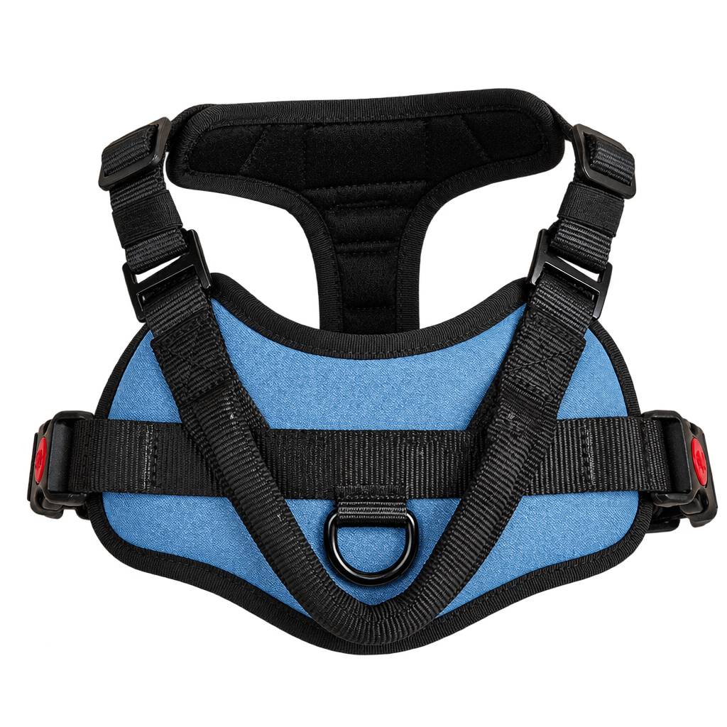 [packshot] Light blue padded no-pull dog harness on a transparent background, three-quarter view