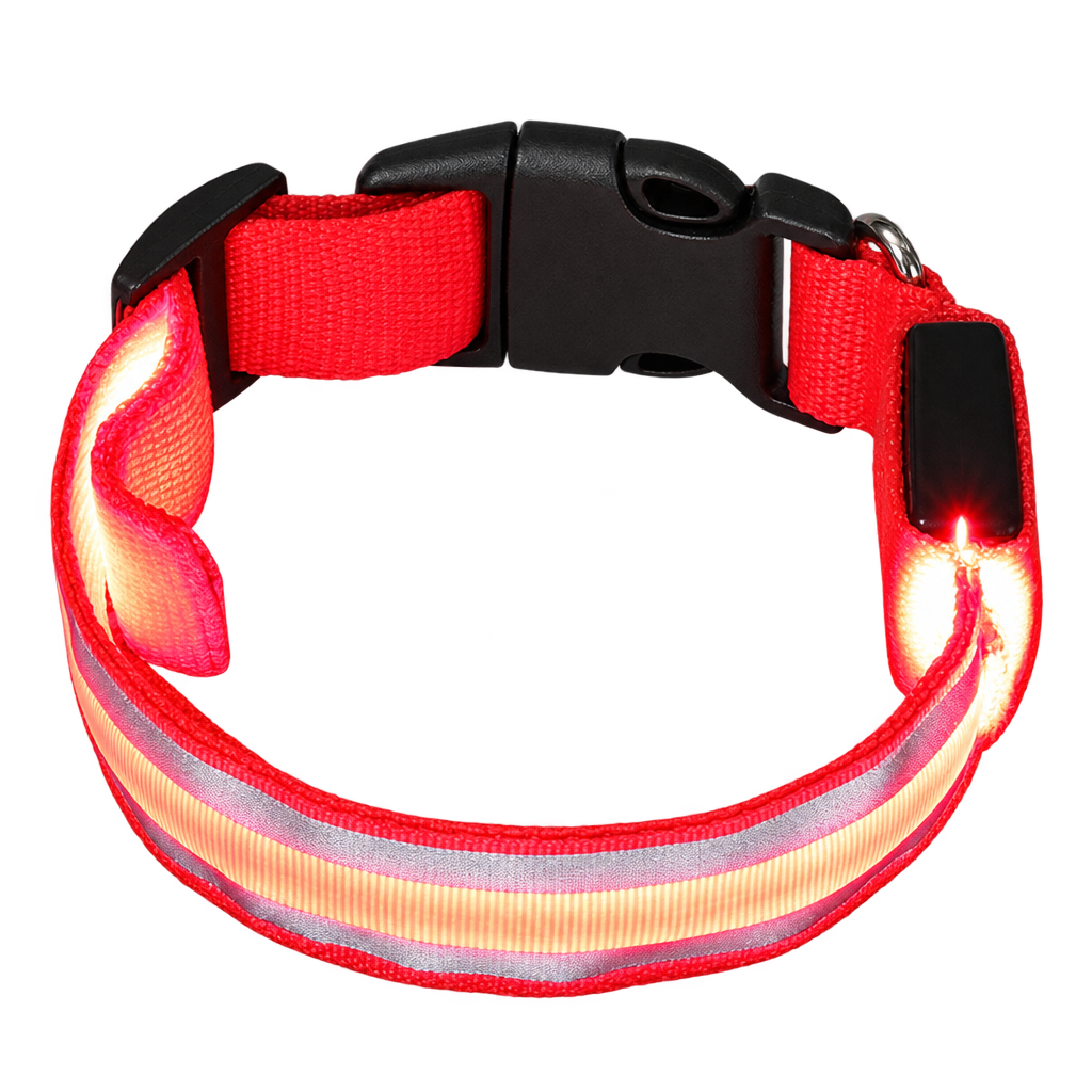 [packshot] Red LED light-up dog collar on a transparent background, three-quarter view