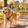 Retractable Dog Lead, Green