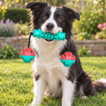 Chew Stick Toy with Spiky Balls, Red & Blue