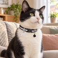 Nylon Reflective Dog & Cat Collar with Fish Tag, Black