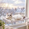 A fluffy white cat lounging in a grey window hammock in a bright flat with a winter sky outside