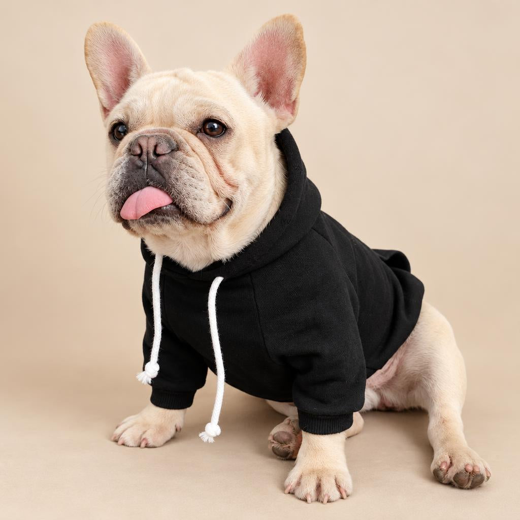 A French bulldog in the black fleece dog hoodie, showing the hood, white drawstrings and ribbed cuffs